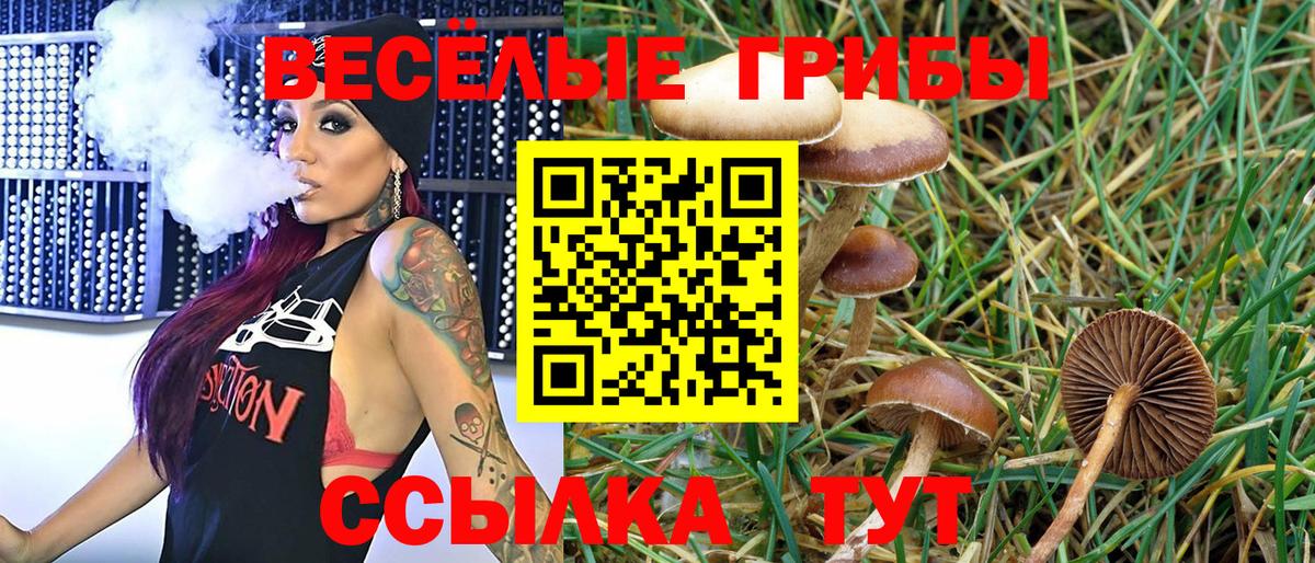 Саратов  где купить   Вход с VPN  Псилоцибиновые грибы Magic Shrooms 